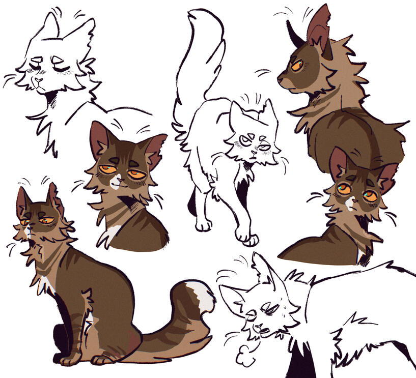 Cat Character Page