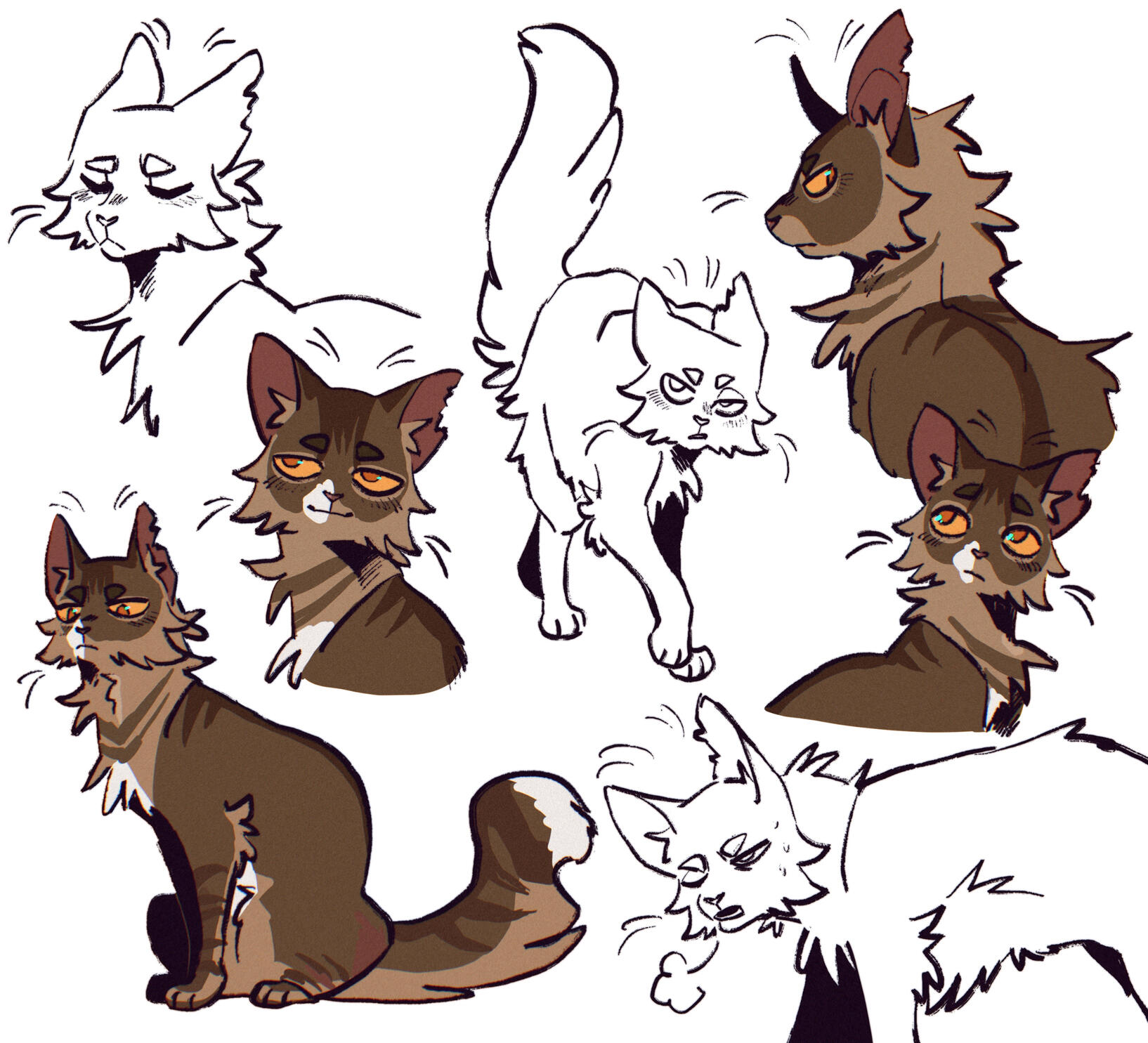 Cat Character Page